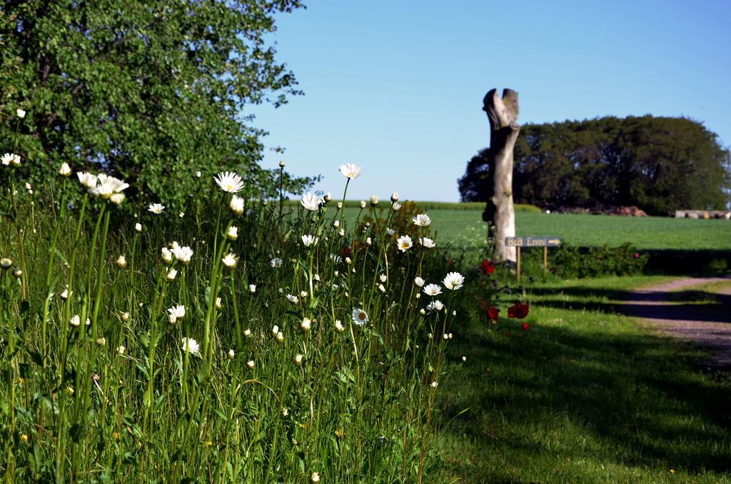 Torsborgs Gard Bed and Breakfast Simrishamn Δωμάτιο φωτογραφία